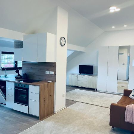Villa Kovaceva 15, App 2, Free Parking Любляна Экстерьер фото